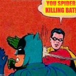 Robin Slap Bat | YOU SPIDER KILLING BAT! | image tagged in robin slap bat | made w/ Imgflip meme maker