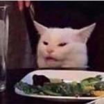 white dinner table cat meme