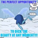 P o | THE PERFECT OPPORTUNITY; TO DICK THE BEAUTY AT ANY MOMENT!!! | image tagged in p o | made w/ Imgflip meme maker