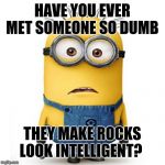 Minions | HAVE YOU EVER MET SOMEONE SO DUMB; THEY MAKE ROCKS LOOK INTELLIGENT? | image tagged in minions | made w/ Imgflip meme maker