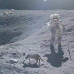 cat on the moon meme