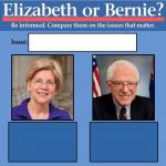 Compare Warren vs Bernie meme