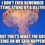 jellyfish | I DON'T EVEN REMEMBER GETTING STUNG BY A JELLYFISH; BUT THAT'S WHAT THE GUY PEEING ON ME SAID HAPPENED | image tagged in jellyfish | made w/ Imgflip meme maker