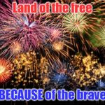 Thank you veterans for your selfless service to this wonderful country. I am forever grateful to you. | Land of the free; BECAUSE of the brave | image tagged in july 4th | made w/ Imgflip meme maker