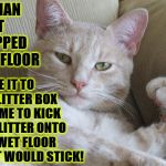 SUCCESS CAT | HUMAN JUST MOPPED THE FLOOR; MADE IT TO THE LITTER BOX IN TIME TO KICK OUT LITTER ONTO THE WET FLOOR SO IT WOULD STICK! | image tagged in success cat | made w/ Imgflip meme maker