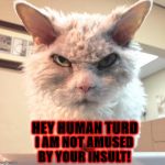 NOT AMUSED | HEY HUMAN TURD; I AM NOT AMUSED BY YOUR INSULT! | image tagged in not amused | made w/ Imgflip meme maker
