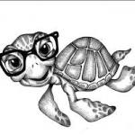 Turtle