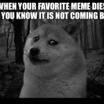 Me and the boys, stonks, toothless | WHEN YOUR FAVORITE MEME DIES AND YOU KNOW IT IS NOT COMING BACK | image tagged in very sad doge,memes,stonks | made w/ Imgflip meme maker