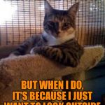 The Most Interesting Cat In The World Meme Generator - Imgflip