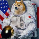 Doge Space Suit meme