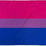 Bisexual Flag