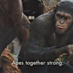 Ape together strong