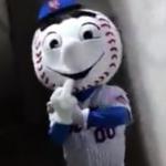 MR MET GOSGER