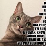 SARCASM | OH YES HUMAN! PLEASE ENLIGHTEN ME ON HOW TO CAT PROPERLY! I'M SURE YOU, A HUMAN, KNOW MORE ABOUT HOW TO CAT THAN ME, A CAT SO YES PLEASE ENLIGHTEN ME! | image tagged in sarcasm | made w/ Imgflip meme maker