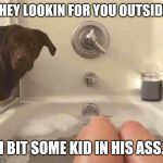 Dog Bite | THEY LOOKIN FOR YOU OUTSIDE. I BIT SOME KID IN HIS ASS. | image tagged in funny animals | made w/ Imgflip meme maker