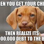 welf dog | WHEN YOU GET YOUR CHECK; THEN REALIZE ITS $5,000,000 DEBT TO THE BANK | image tagged in welf dog | made w/ Imgflip meme maker