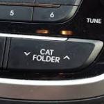 Cat Folder