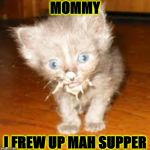 FREW UP | MOMMY; I FREW UP MAH SUPPER | image tagged in frew up | made w/ Imgflip meme maker