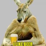 Kangaroo Style | I LIKE BEER WITH LOTS OF HOPS. | image tagged in shut up and have a beer | made w/ Imgflip meme maker
