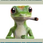 It certainly reduces my stress!!! | I JUST SAVED A 100% ON STRESS; BY SWITCHING TO MARIJUANA | image tagged in geico joint,memes,stress free,funny,geico gecko,geico | made w/ Imgflip meme maker