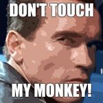 Don't touch my food | DON'T TOUCH; MY MONKEY! | image tagged in don't touch my food | made w/ Imgflip meme maker