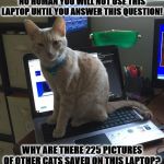 NO HUMAN | NO HUMAN YOU WILL NOT USE THIS LAPTOP UNTIL YOU ANSWER THIS QUESTION! WHY ARE THERE 225 PICTURES OF OTHER CATS SAVED ON THIS LAPTOP? | image tagged in no human | made w/ Imgflip meme maker