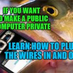 Tech Savvy Fish | IF YOU WANT TO MAKE A PUBLIC COMPUTER PRIVATE; LEARN HOW TO PLUG THE WIRES IN AND OUT | image tagged in tech savvy fish | made w/ Imgflip meme maker