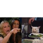 two woman yelling at a cat meme