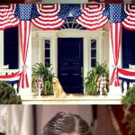 Happy Birthday America | WHAT’S ALL THIS TALK ABOUT THE DECORATIONS OF INDEPENDENCE? THEY’RE BEAUTIFUL | image tagged in bad pun gilda radner playing emily litella,memes,fourth of july | made w/ Imgflip meme maker