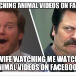Me watching animal videos on Facebook | ME WATCHING ANIMAL VIDEOS ON FACEBOOK. MY WIFE WATCHING ME WATCHING ANIMAL VIDEOS ON FACEBOOK. | image tagged in me watching animal videos on facebook | made w/ Imgflip meme maker
