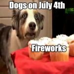 Independence Day Dog Drama | Dogs on July 4th; Fireworks | image tagged in muffin dog ptsd,4th of july,independence day,dogs | made w/ Imgflip meme maker