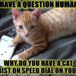SPEED DIAL | I HAVE A QUESTION HUMAN! WHY DO YOU HAVE A CAT BEHAVIORIST ON SPEED DIAL ON YOUR PHONE? | image tagged in speed dial | made w/ Imgflip meme maker