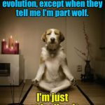 Part wolf?  Seriously? | I believe in evolution, except when they tell me I'm part wolf. I'm just not feeling it. | image tagged in zen dog | made w/ Imgflip meme maker