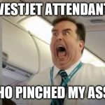 westjet attendant | WESTJET ATTENDANT; WHO PINCHED MY ASS? | image tagged in westjet attendant,funny memes,funny meme,too funny,lol so funny,pinched | made w/ Imgflip meme maker