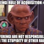 Ferengi Rule of Acquisition (careful look) | FERENGI RULE OF ACQUISITION #69; FERENGI ARE NOT RESPONSIBLE FOR THE STUPIDITY OF OTHER RACES. | image tagged in ferengi rule of acquisition careful look | made w/ Imgflip meme maker