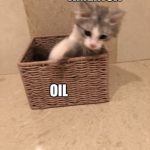 Cat grab | AMERICA; OIL | image tagged in cat grab,america,oil,cat memes,memes | made w/ Imgflip meme maker