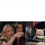 Women yelling at cat meme