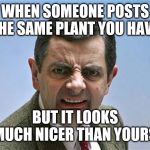 mr bean | WHEN SOMEONE POSTS THE SAME PLANT YOU HAVE; BUT IT LOOKS MUCH NICER THAN YOURS | image tagged in mr bean | made w/ Imgflip meme maker