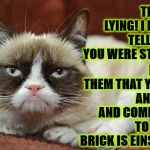 STUPID IDIOT | I TOLD THEM THAT YOU'RE AN IDIOT AND COMPARED TO YOU A BRICK IS EINSTEIN! THEY'RE LYING! I DIDN'T TELL THEM YOU WERE STUPID! | image tagged in stupid idiot | made w/ Imgflip meme maker