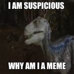 Suspicious Dino | I AM SUSPICIOUS; WHY AM I A MEME | image tagged in suspicious dino,dinosaur,suspicious,memes,original meme,templates | made w/ Imgflip meme maker