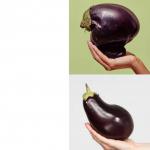 Eggplant comparison