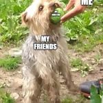 My doggo getting a ball | ME; MY CHEETOS; MY FRIENDS | image tagged in my doggo getting a ball | made w/ Imgflip meme maker