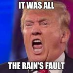 Screaming trumpertantrum | IT WAS ALL; THE RAIN'S FAULT | image tagged in screaming trumpertantrum,trump,rain,take the airports,4th of july | made w/ Imgflip meme maker