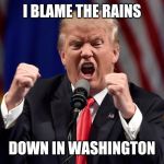 Trump Screaming | I BLAME THE RAINS; DOWN IN WASHINGTON | image tagged in trump screaming,trump,rain,4th of july | made w/ Imgflip meme maker