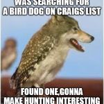 bird dog | WAS SEARCHING FOR A BIRD DOG ON CRAIGS LIST; FOUND ONE,GONNA MAKE HUNTING INTERESTING | image tagged in bird dog | made w/ Imgflip meme maker