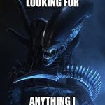 Alien Xenomorph | ME AT 3 AM LOOKING FOR; ANYTHING I CAN F**KING EAT | image tagged in alien xenomorph | made w/ Imgflip meme maker