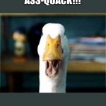 Aflac Duck | ASS-QUACK!!! | image tagged in aflac duck | made w/ Imgflip meme maker