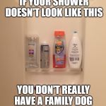 Family Dog | IF YOUR SHOWER DOESN'T LOOK LIKE THIS; YOU DON'T REALLY HAVE A FAMILY DOG | image tagged in family dog | made w/ Imgflip meme maker