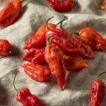 Ghost Pepper Facts