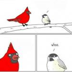 Whoa Bird meme